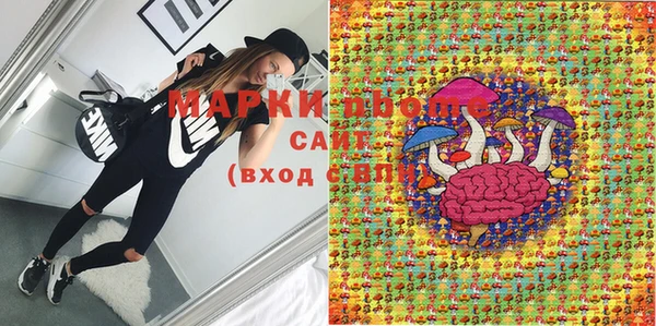 ГАЛЛЮЦИНОГЕННЫЕ ГРИБЫ Баксан