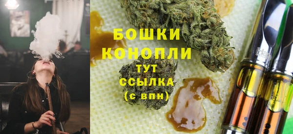 ГАЛЛЮЦИНОГЕННЫЕ ГРИБЫ Балабаново