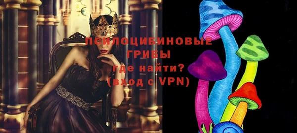 ГАЛЛЮЦИНОГЕННЫЕ ГРИБЫ Балабаново