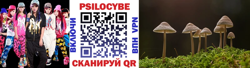 Галлюциногенные грибы Psilocybine cubensis где можно купить наркотик Бутурлиновка